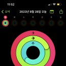 미소네일 - 중구 명동4길 12-1 | 미소네일