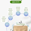 수자타 천연 허브 헤어팩 가루 사용 후기 💇🏻‍♀️
