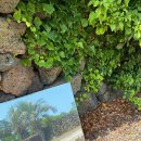 모아펜션 이미지