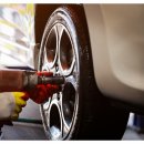 카토피아 이미지