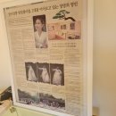 어머니,조갑녀 이미지