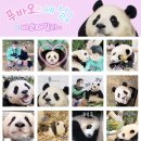 푸바오 이모티콘 30일권 받을 준바오🐼 이미지