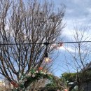 마레1992파티하우스 이미지