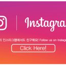 도그스토리 이미지