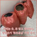 헌옷방문수거업체헌옷맨 | 버리는 옷 돈 받고 정리하는 헌옷 방문수거 업체 헌옷훈남 이용 후기