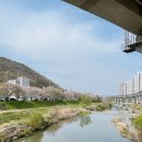 한올체육관 | 마평동미용실 헤어룸코지 단발매직펌 대만족 후기