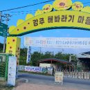 함안 강주리 해바라기 축제 이미지