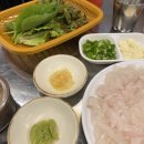 세꼬시 티스토리