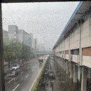 (주)내츄럴푸드자연유통 - 천안시 동남구 | 2025년 7월 둘째주 일상 (1) - 조각조각 일상 모음+ 수영복여정은 끝나지 않았다! 데이즈데이즈, 써피...