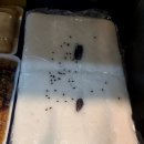 주공떡집 이미지