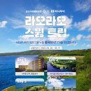 스윙GDR아카데미 이미지