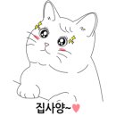로로동물병원 이미지