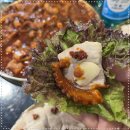 구구족부산