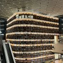 삼성역 스타필드코엑스몰 대형서점 영풍문고에서 찬찬히 책 구경하기