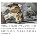 '부적합 육류' 사료로 재활용 가능 3개월 후 ㄷㄷㄷ 이미지