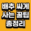 (주)농협유통 하나로마트 부전점 | 2025년 배추 싸게 사는 꿀팁 총정리｜김장철 배추값 아끼는 방법 할인, 세일