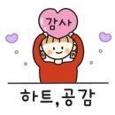 썬키즈 아일랜드 이미지