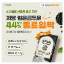 6196 | 12월6일 캐시워크 소이비랩 저당 검은콩두유 캐시 더 진하고, 더 OOO 균형의 맛을 만나보세요!