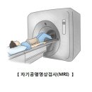 부인당한방병원 | 뇌출혈 진단 증상 치료 수술 후 후유증 병원