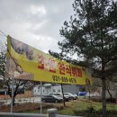 초원생삼겹살가든 | 초원생삼겹살가든 : 양주 초원식당 한식뷔페