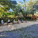 지축농장 이미지