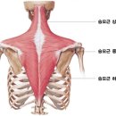 오다필라테스&PT