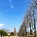 천년의 숲 화장실 | 3월 경주 1박 2일 - 낙동강의성휴게소 간식, 또간집 남정부일기사식당, 경북천년숲정원