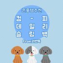 존좋템_러밴독 슬링백