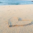 동탄순환대로18길 이미지