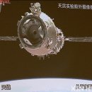 신화8호 이미지