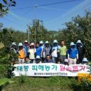 샛터농장 이미지