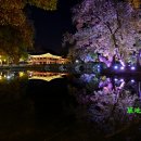 광한루의 밤풍경 이미지