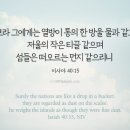 사보라