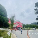 개구리목장 | 귀여운 양을 직접 만져 볼 수 있는 ‘벨포레 목장’