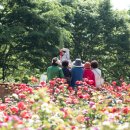 송도 해돋이공원 이미지