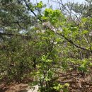 갤러리수락 이미지