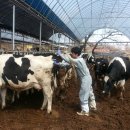 청정농장 이미지