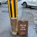 꽃집;오월그리고작은책방