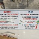 르노삼성대로 | 부산 명지 샤브샤브 샤브원 후기 가족외식 무한리필 내돈내산