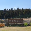 하나영농조합법인(지점)