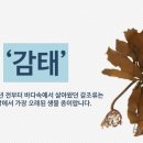 드림아이태권도 이미지