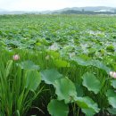 운대2리 이미지