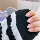 손톱세운고양이