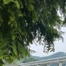 아유란농원 네이버블로그