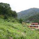 연가리맑은터 이미지