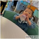 차차래빗 이미지