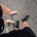 알파보성점 | 아디다스 아디제로 아디오스 프로4 리뷰｜첫 서브4를 만든 대회용 러닝화, 174km 실사용 솔직 후기