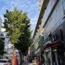 단지골장어 이미지