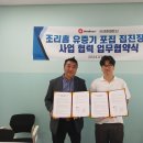 크린랜드 이미지