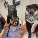 씨유 안성대로점 | [여행일기]얼레 벌레 3박4일 홍콩여행 2일차💙디즈니랜드 불꽃놀이 시간, 홍콩 디즈니랜드 가는방법...